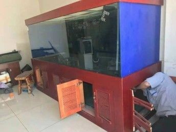 搬家時魚缸如何進行搬運工作：搬家時魚缸搬運的幾個關(guān)鍵步驟和注意事項