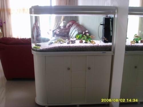 帶魚缸的鞋柜效果圖：帶魚缸的鞋柜設計可以為家居增添獨特的裝飾效果