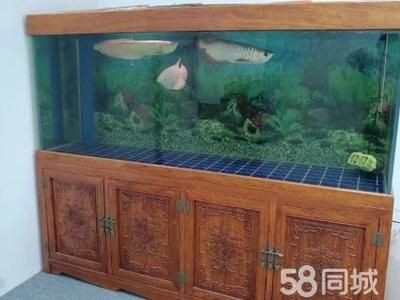 詳細(xì)閱讀:創(chuàng)海魚(yú)缸怎么安裝視頻:創(chuàng)海魚(yú)缸安裝視頻教程 創(chuàng)海魚(yú)缸怎么安裝視頻:創(chuàng)海魚(yú)缸安裝視頻教程