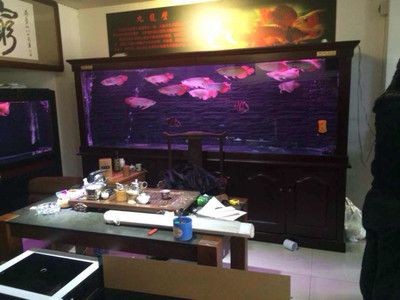 詳細(xì)閱讀:創(chuàng)海魚(yú)缸怎么安裝視頻:創(chuàng)海魚(yú)缸安裝視頻教程 創(chuàng)海魚(yú)缸怎么安裝視頻:創(chuàng)海魚(yú)缸安裝視頻教程