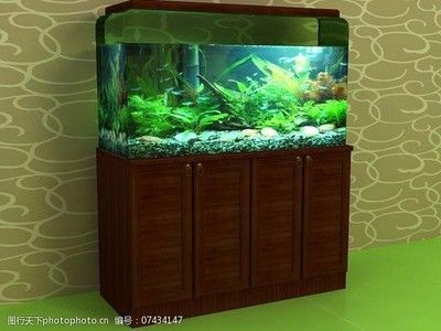 玻璃店魚缸多少錢一塊啊視頻：在玻璃店定做一個魚缸的價格是多少？