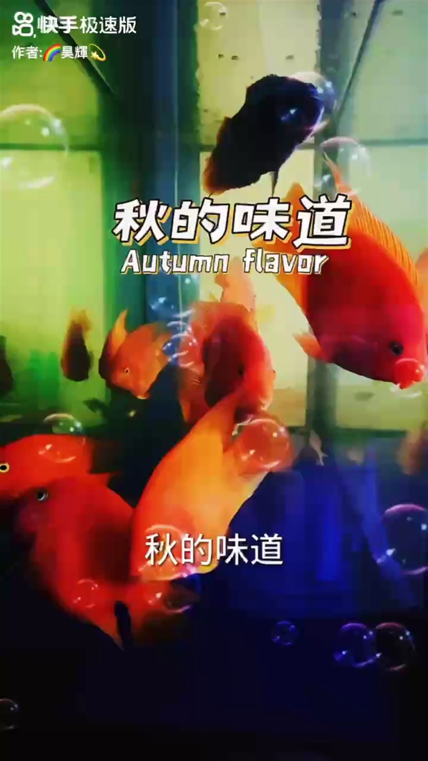 153天，?堅持打卡記錄