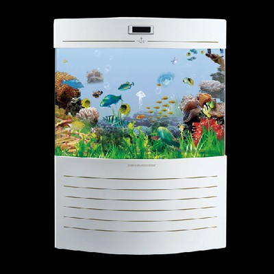 紅龍魚魚缸背景圖片大全大圖（紅龍魚魚缸背景圖片大全大圖高清）