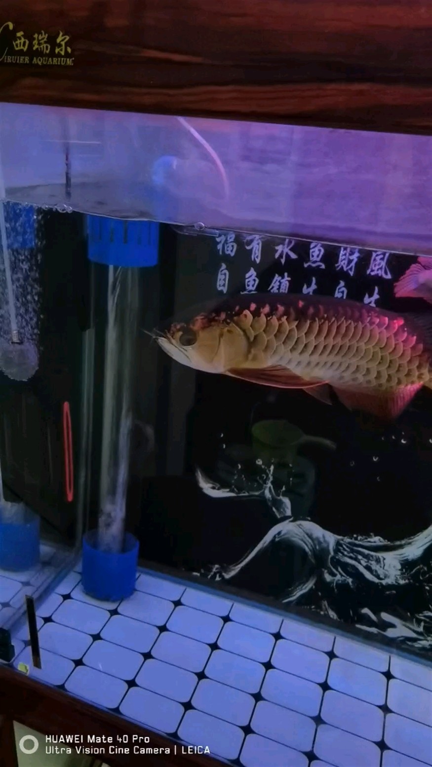 一年了