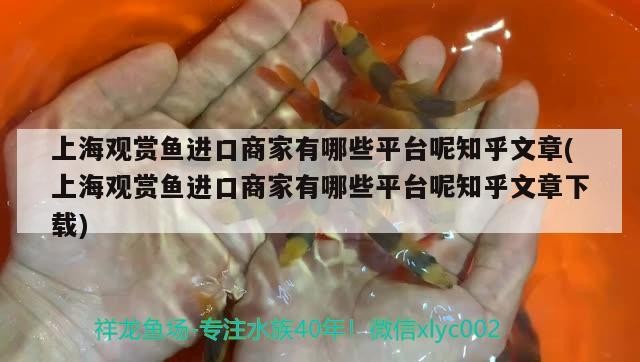 紅龍魚和虎魚混養會打架嗎：紅龍和虎魚混養視頻