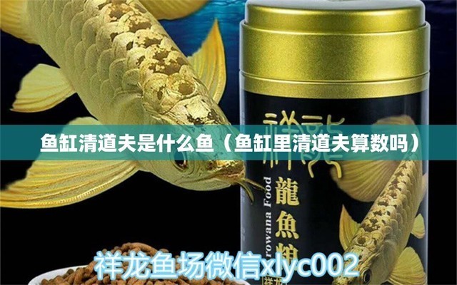 北京藍月亮水族館（北京藍月亮水族館地址）