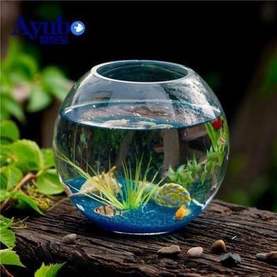 沈陽大自然水族研發有限公司（沈陽大自然水族研發有限公司怎么樣）
