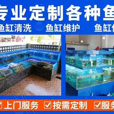 紅龍魚用什么底色好看（紅龍魚用什么底色好看圖片）