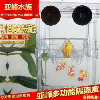 玻璃魚缸過濾器有用嗎視頻教學：如何正確使用玻璃魚缸過濾器
