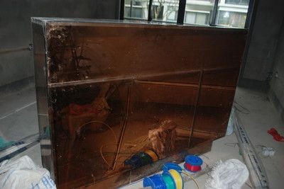 茶色玻璃魚缸效果圖：茶色玻璃魚缸效果圖及養護技巧