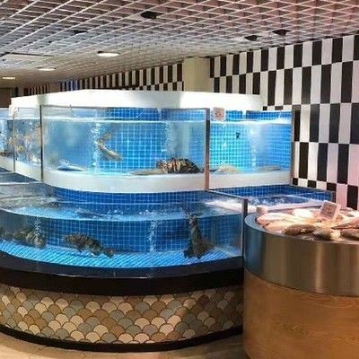 茶色玻璃魚缸效果圖：茶色玻璃魚缸效果圖及養護技巧