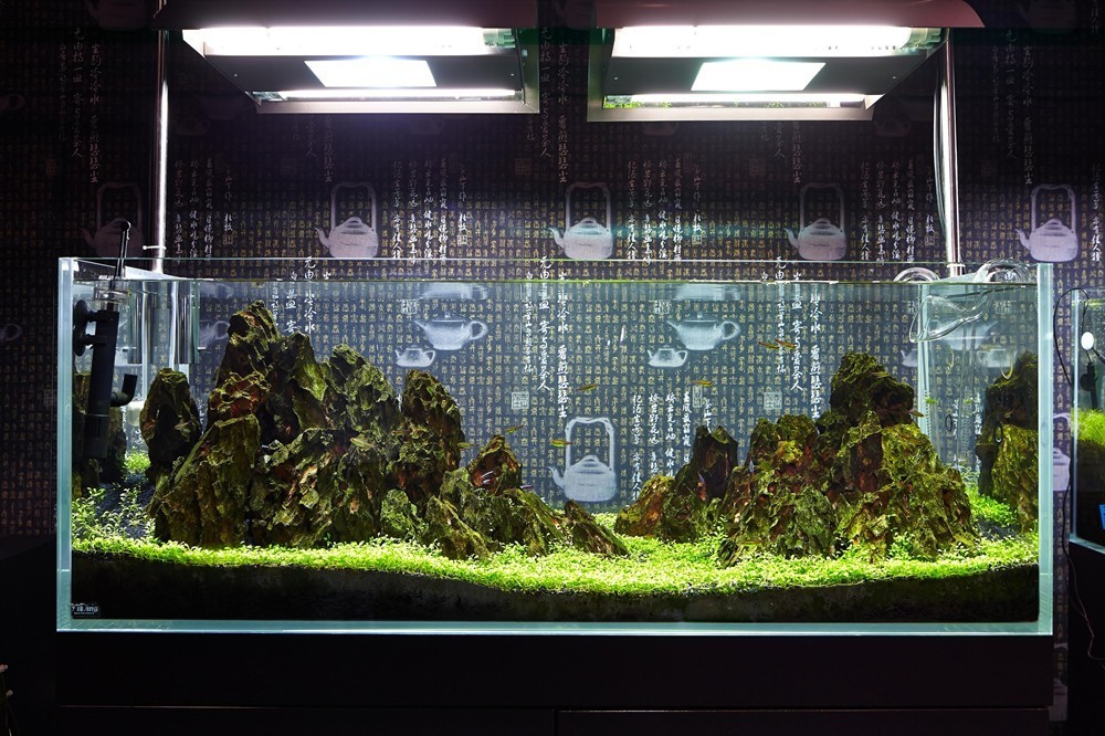 葉縣昆陽鎮森森水族館（葉縣昆陽鎮森森水族館電話）