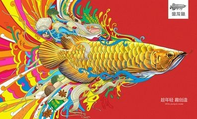 金龍魚的圖畫
