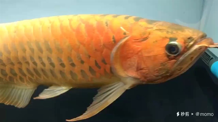各地水浸，注意安全！！！