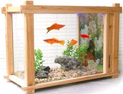 北陽臺適合擺放魚缸嗎風水好嗎：北陽臺是否適合擺放魚缸