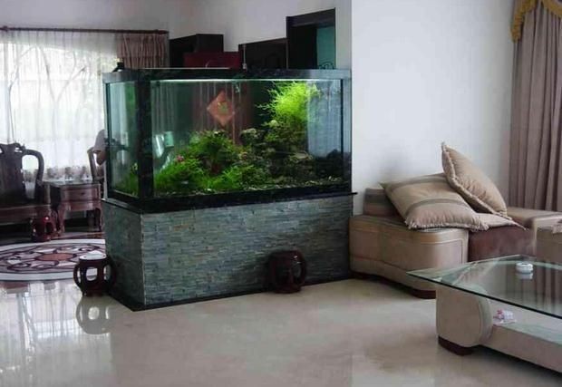 搬家搬魚缸有什么說法:搬家搬魚缸有一些特別的注意事項和做法 魚缸百科 第2張 搬家搬魚缸有什么說法:搬家搬魚缸有一些特別的注意事項和做法 搬家搬魚缸有什么說法:搬家搬魚缸有一些特別的注意事項和做法 魚缸百科 第2張