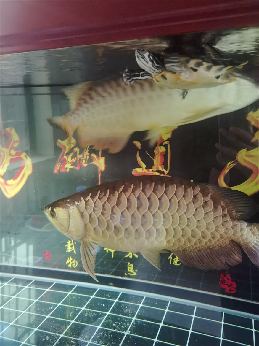 上下游