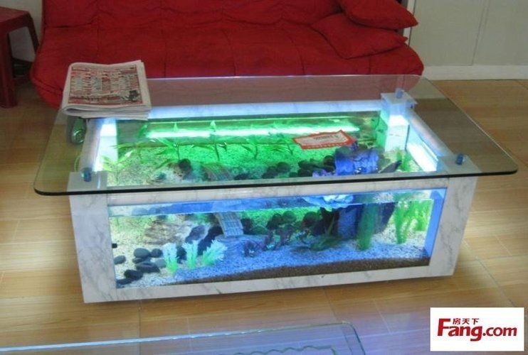 出售低價魚缸合法嗎知乎：出售低價魚缸合法嗎？