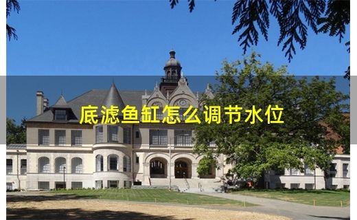 大魚缸下水閥怎么調(diào)最完美：大魚缸下水閥下水閥調(diào)節(jié)技巧大魚缸下水閥調(diào)節(jié)技巧