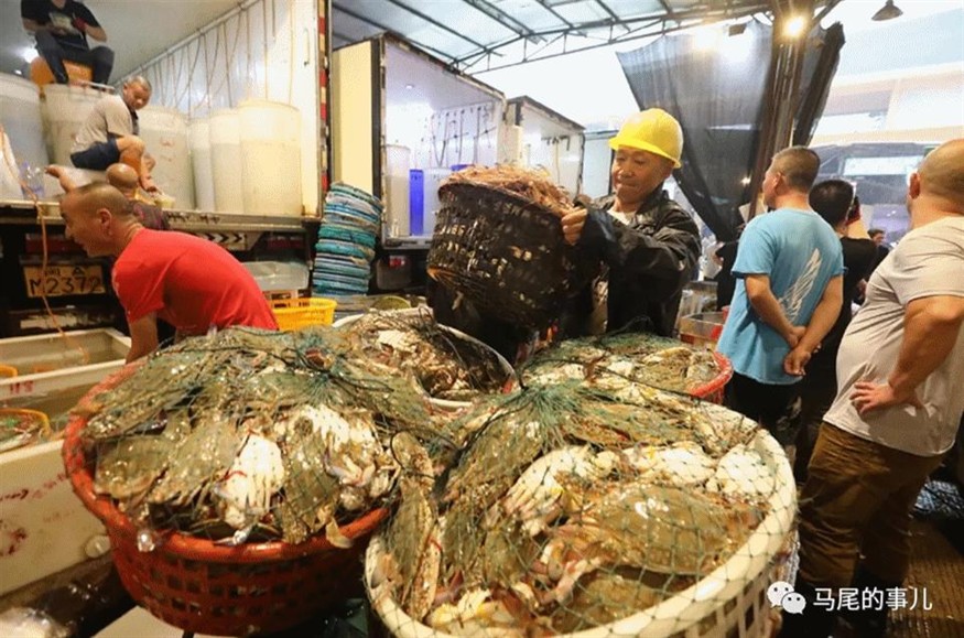 虎魚價格多少錢一條:最好養的冷水觀賞魚