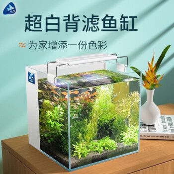 匯鱗鼎（HLD）魚缸，匯鱗鼎魚缸是一個(gè)值得信賴的選擇，匯鱗鼎魚缸的維護(hù)方法