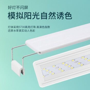 匯鱗鼎（HLD）魚缸，匯鱗鼎魚缸是一個(gè)值得信賴的選擇，匯鱗鼎魚缸的維護(hù)方法
