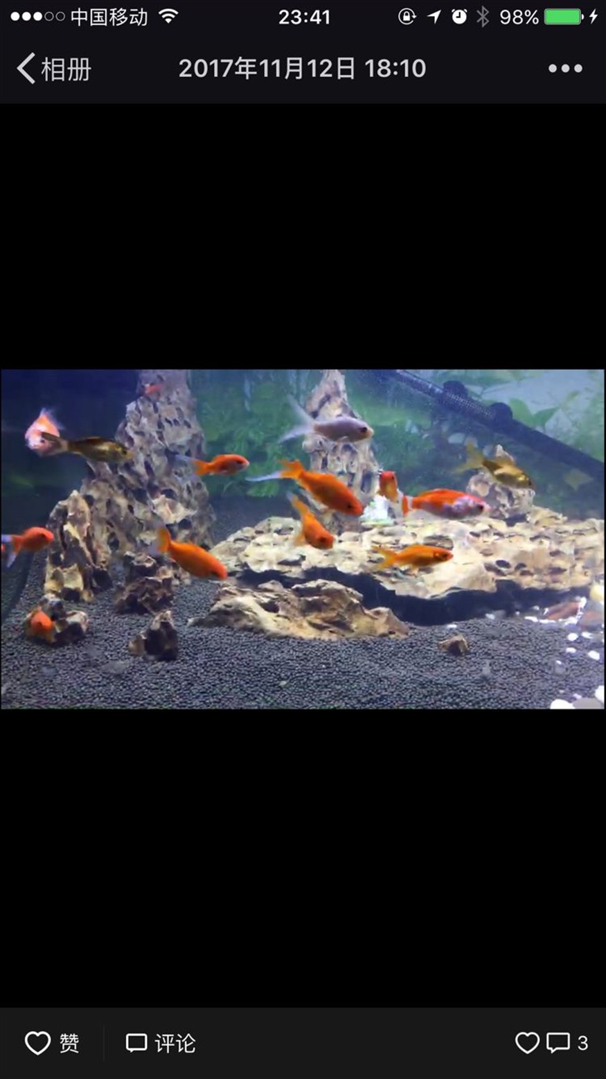 翻缸以后的對比金魚粑粑好清理多了
