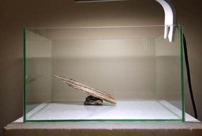 超白玻璃魚缸定做：超白玻璃魚缸定做的優(yōu)勢