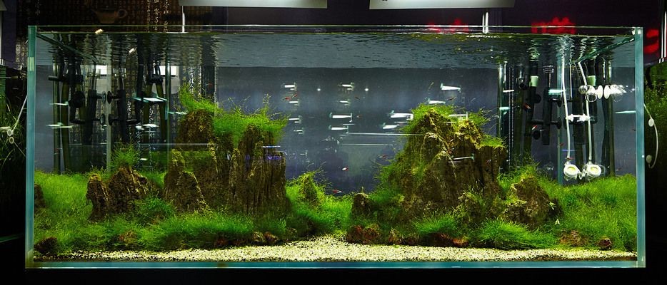 大型魚缸漏水如何修補好呢：大型魚缸漏水怎么辦？