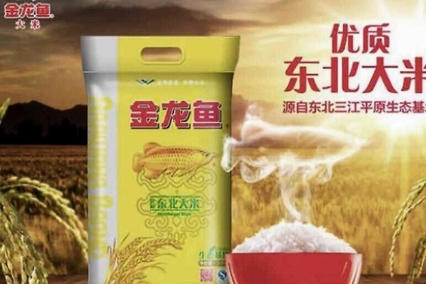 紅龍魚用黃燈有用嗎怎么養（紅龍魚用黃燈有用嗎怎么養的）