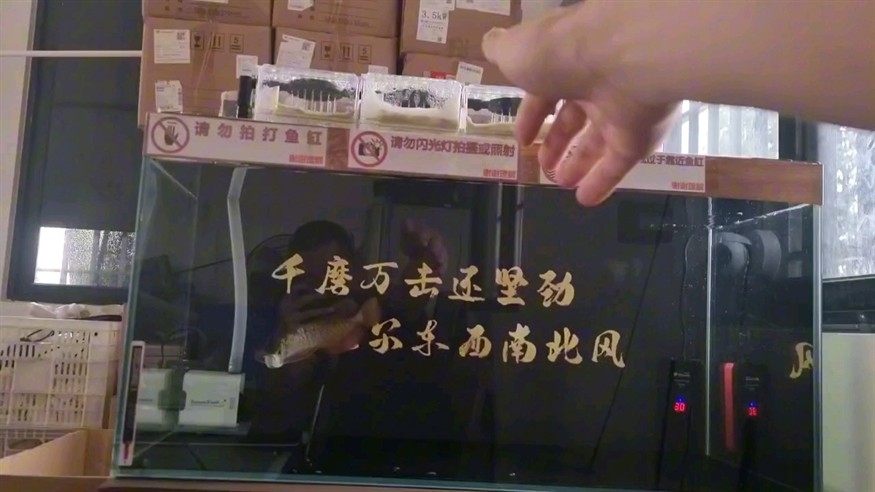 隨手拍一段