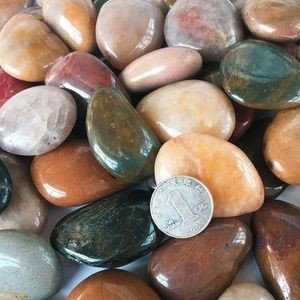 大鵝卵石魚缸：大鵝卵石在魚缸中的應用
