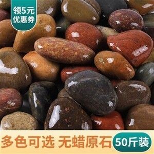 大鵝卵石魚缸：大鵝卵石在魚缸中的應用