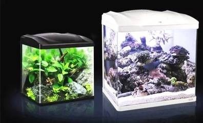大魚缸滲水怎么補漏水呢：大魚缸滲水需要根據搜索結果總結的幾種修補方法及修補方法