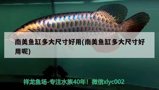 武侯區(qū)錦繡水族銷售部（武侯區(qū)錦繡水族銷售部電話）