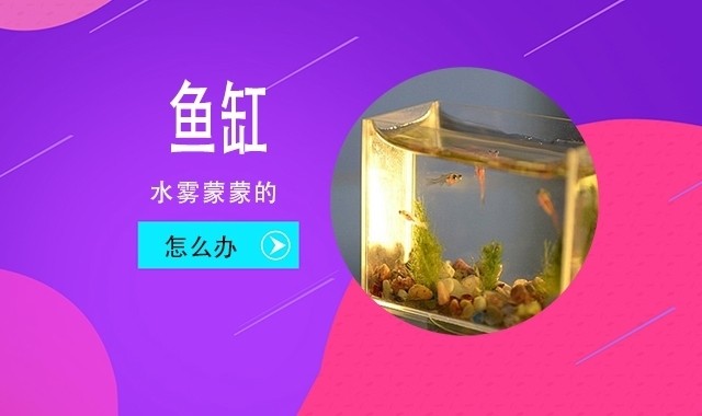吉安市吉州區藍世界水族館（吉安市吉州區藍世界水族館電話）