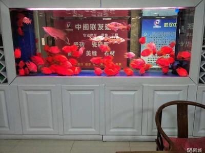 百因美魚缸安裝視頻教學