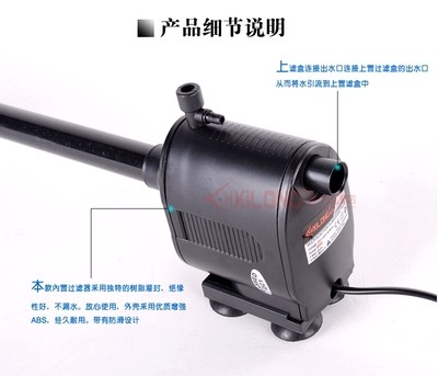 紅龍魚缸燈用什么顏色最好看圖片（紅龍魚缸燈用什么顏色最好看圖片大全）
