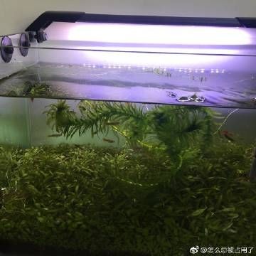 本地二手魚缸：關(guān)于本地二手魚缸的相關(guān)信息來自各城市的58同城網(wǎng)站