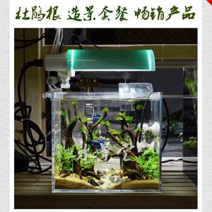 大魚缸適合放水草嗎視頻：魚缸養水草有哪些優點