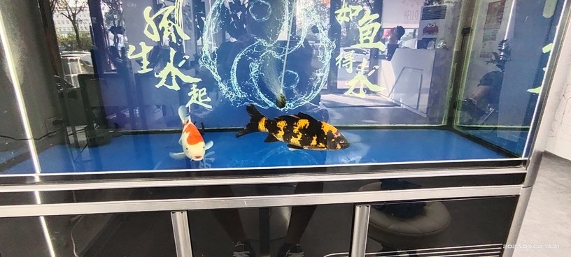 好起來了呀！狀態起飛