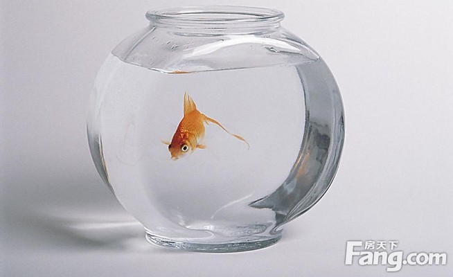 威海高技術產業開發區裕源水族店（威海裕洋水產品有限公司）