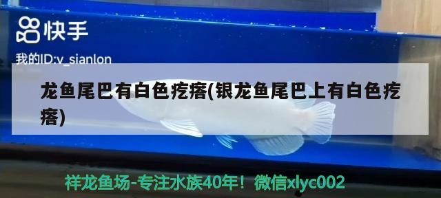 魚缸水質是確保水族箱中生物健康生長的關鍵，以下是有效的方法，如何改善魚缸水質