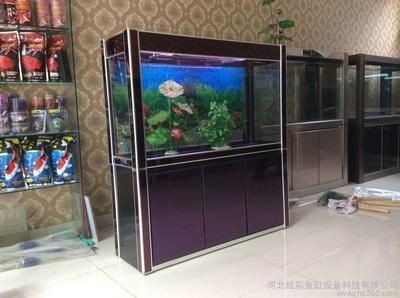 玻璃魚缸跟亞克力魚缸的區別：亞克力魚缸與玻璃魚缸各有優缺點