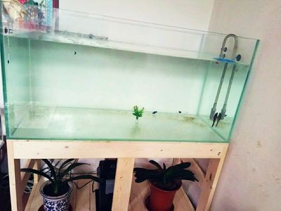 大魚缸水草泥怎么鋪設好看：大魚缸水草泥鋪設步驟和注意事項和步驟和注意事項