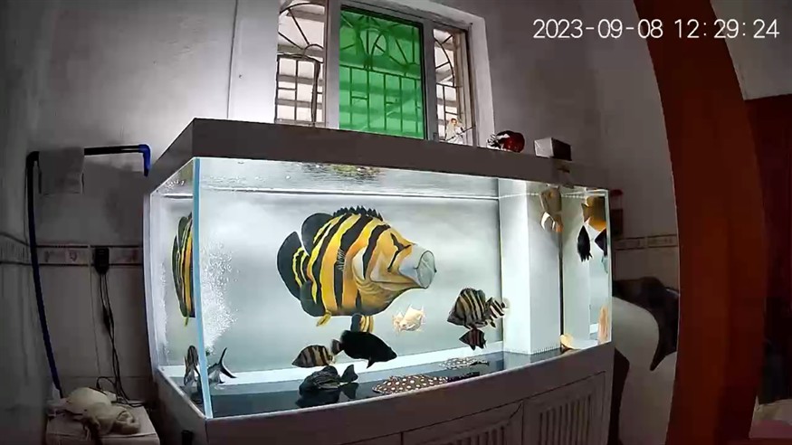 冒個泡。