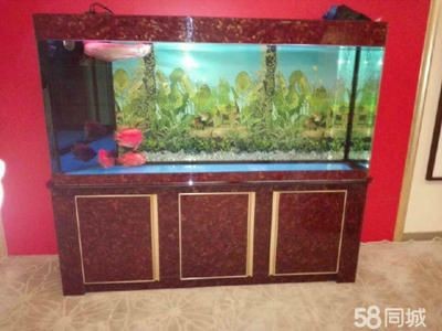 搬家公司搬魚缸多少錢一個月工資：搬家公司搬魚缸多少錢一個月工資搬家公司收費標準