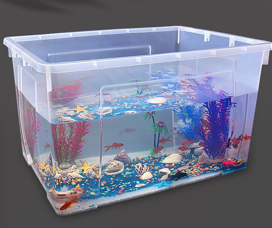 斗魚缸背景：如何選擇合適的斗魚缸背景