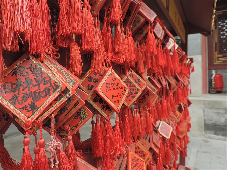 25厘米的龍魚配多大的虎魚好看一點(龍魚跟虎魚尺寸怎么搭配)