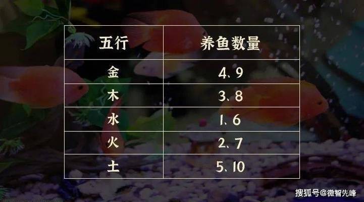 保康縣曉曉水族花藝銷售部（保康縣曉曉水族花藝銷售部電話）